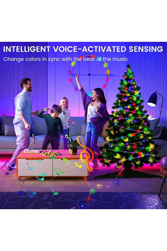 RGB Peri Led - 10 Metre, 100 Led, WS2812B Animasyonlu, Telefon Kontrollü, Kumandalı