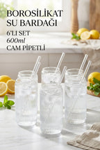 6'lı Borosilikat Cam Pipetli Bardak Seti 600 ml – Çizgili Tasarım - erkugo. dekoratif, işlevsel.