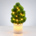LED Dekoratif Mini Çam Ağacı 25 cm