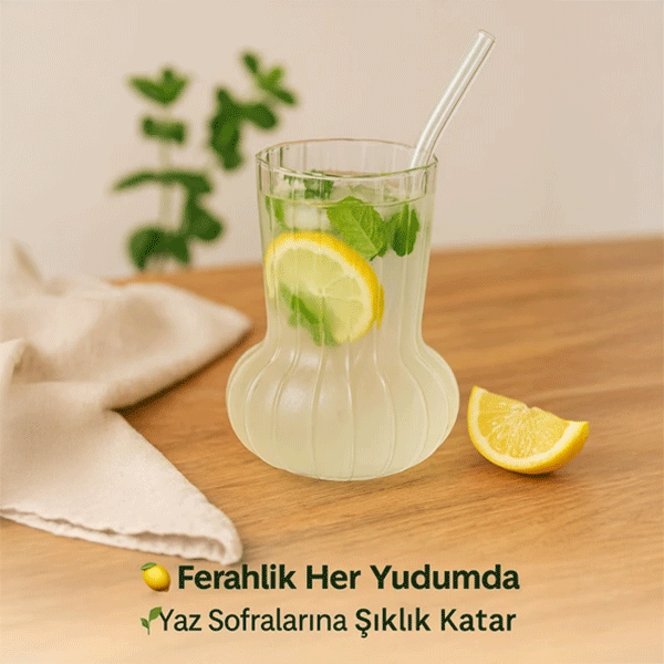 Minimal Borosilikat Cam Vazo & Bardak, 500 ml Ters Mantar Model, Isıya Dayanıklı Çok Amaçlı Tasarım