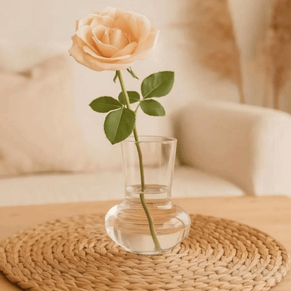 İskandinav Vazo Seti, Modern Minimal Dekoratif 3'lü Set, Isıya Dayanıklı Borosilikat Cam