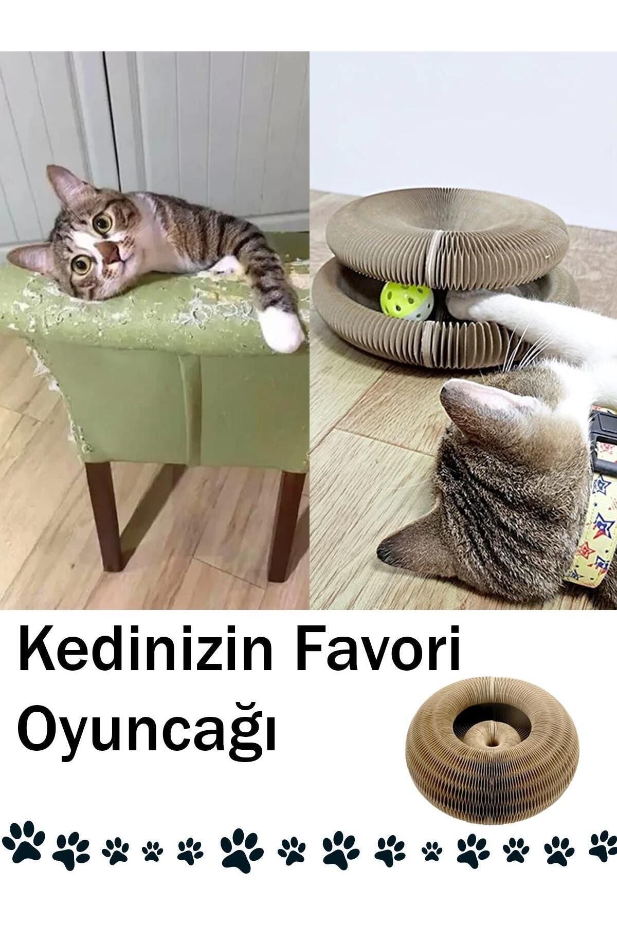 Kedi Tırmalama Oyuncağı – Sihirli Akordeon Kedi Oyuncağı, Çıngıraklı Tırmalama Panosu - erkugo. dekoratif, işlevsel.