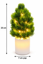 LED Dekoratif Mini Çam Ağacı 25 cm